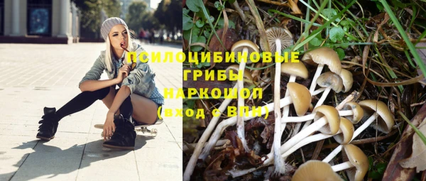 ПСИЛОЦИБИНОВЫЕ ГРИБЫ Балабаново