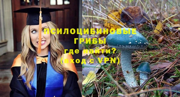 ешки Каменка