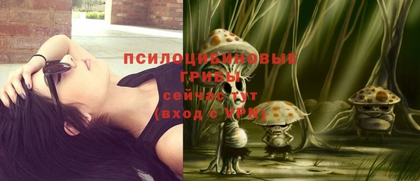 прущий лед Балахна