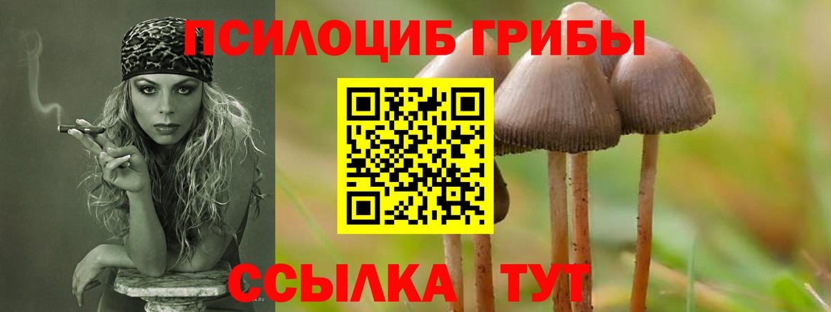 Галлюциногенные грибы ЛСД Каспийск